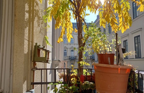 Ujlipotvaros Apartment | BUDAPEST DOWNTOWN HOME RESTAURANT and GUIDED PRIVATE BUDAPEST and VILLAGE TOURS