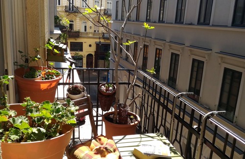 Ujlipotvaros Apartment | BUDAPEST DOWNTOWN HOME RESTAURANT and GUIDED PRIVATE BUDAPEST and VILLAGE TOURS