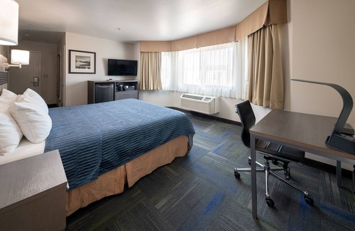 Cow Hollow Hotel | Buena Vista Motor Inn