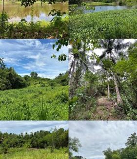 Allacapan House | Bulo Cottage & Garden