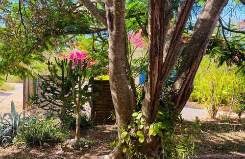 Capesterre-de-Marie-Galante Apartment | Bungalow de charme , à proximité de la plage