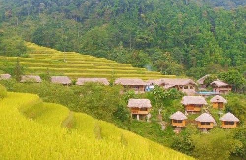 Thong Nguyen Hotel | Bungalow Hoàng Su Phì
