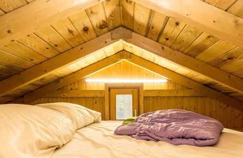 Luetow Apartment | Bungalow Nr. 14 - Urlaub im Bungalow - Mitten im Wald