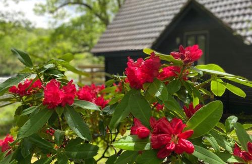 Spean Bridge Cabin | Burnbank Lodges