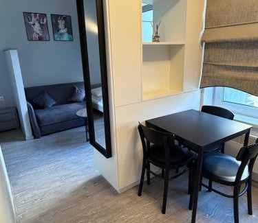 Snipiskes Apartment | butas apsilankymui vilnius