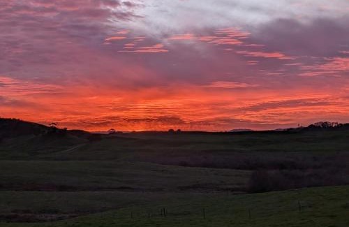 Te Akau Other | Buttercup Dome
