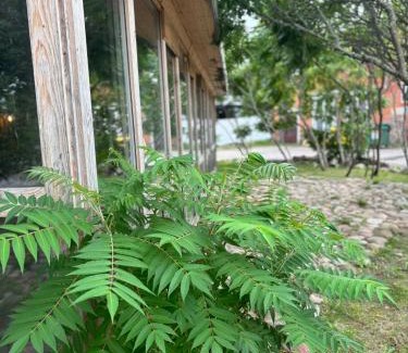 Kurzeme Apartment | Butterfly House