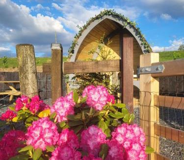 Llanllyfni House | Bwthyn Plas Hafod Cottage