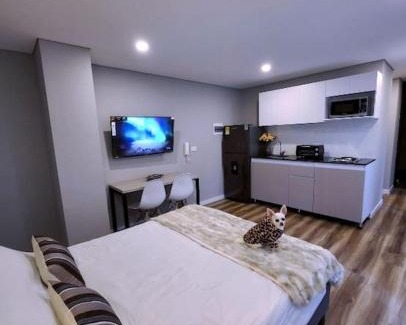 Centro International Apartment | Céntrico Loft Turístico-Negocios