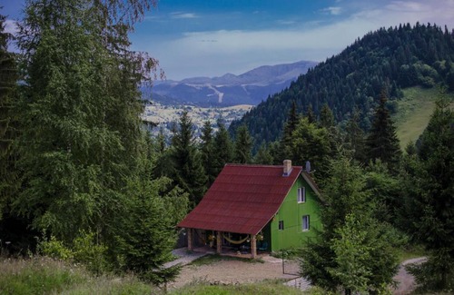 Borsa Cabin | Căbănuța din Pădure