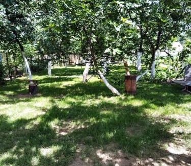 Belint House | Căsuța bunicilor