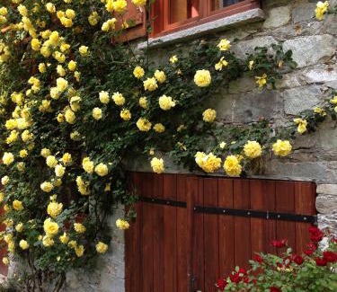 Campertogno House | Ca dal Cros