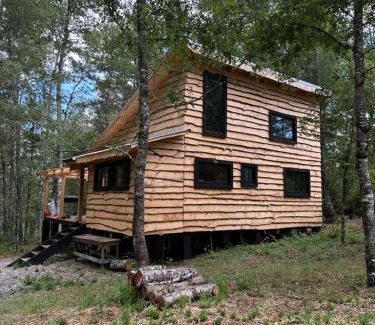 Curacautin Ski Chalet | Cabaña Chucao, Nativo Lodge, Araucanía Andina