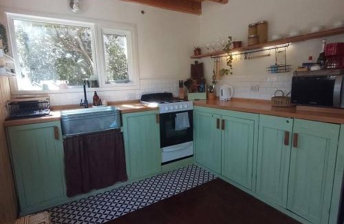 Lanin National Park Ski Chalet | Cabaña de MONTAÑA con excelente vista