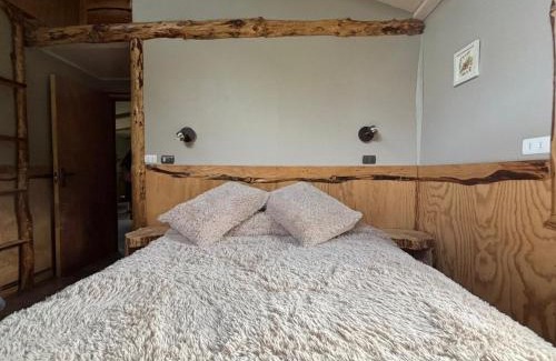 Aysen Apartment | cabaña eco las torres del simpson aysen patagonia