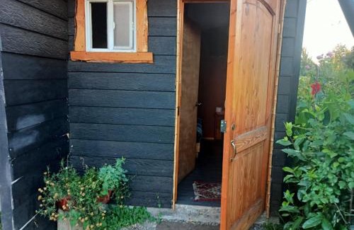 Cunco Apartment | cabaña el remo