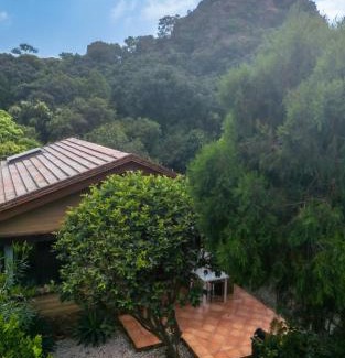 San Pedro Ski Chalet | Cabaña en Tepoztlán con vista a la montaña