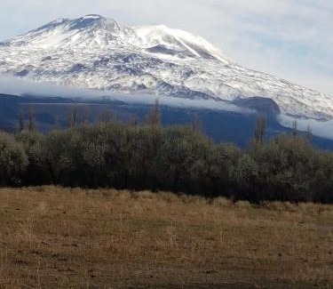 Buta Ranquil Apartment | Cabaña La 40 "Relax y descanso en zona de chacras"