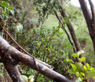 Tunquen Ski Chalet | Cabaña La Quebrada Tunquen