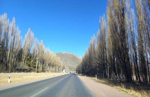 Maipu Cabin | Cabaña Loft La Ribera