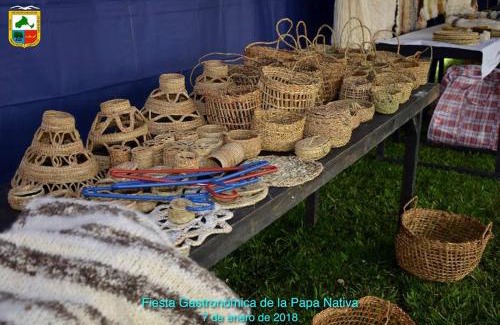 Castro Apartment | Cabañas Alen Mapu