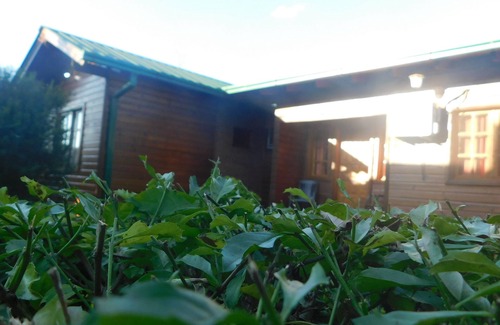 Puerto Iguazu Cabin | Cabañas Araticu