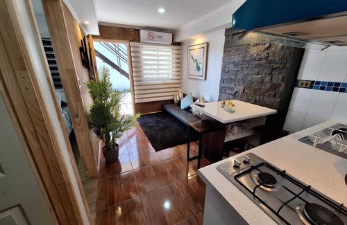 Valdivia Cabin | CABAÑAS ASES LOFT VALDIVIA