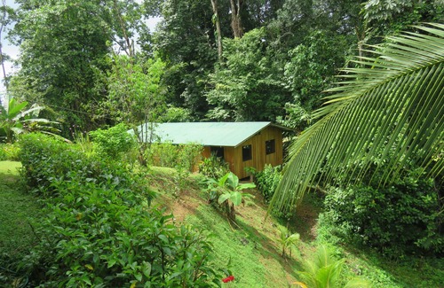 Drake Bay Cabin | Cabañas Bajo Bosque Drake