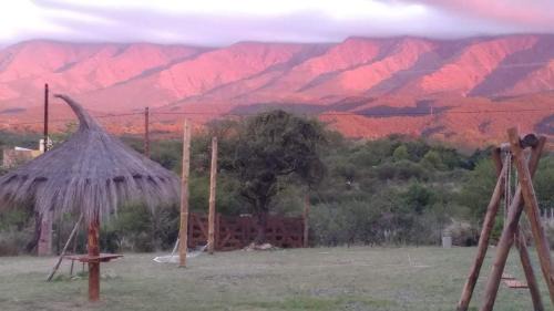 Nono House | Cabañas Colibri