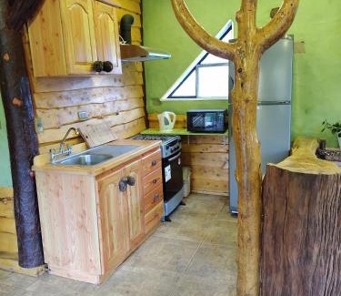 Lican Ray Cabin | Cabañas Ecologicas Valacirca