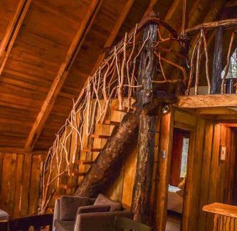 Aysen House | Cabañas Ecoturismo la Pancha