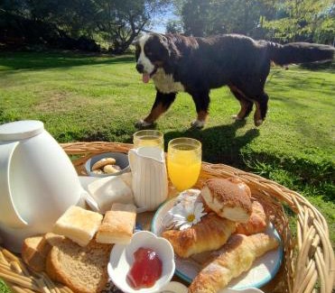 Tandil Ski Chalet | Cabañas El Nono