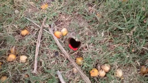 Termas de Rio Hondo Cabin | Cabañas Ensueño del Lago