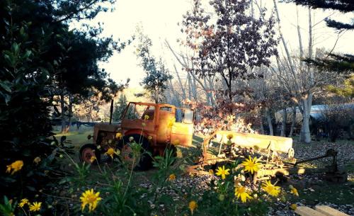 Tandil Cabin | Cabañas Las Dinas