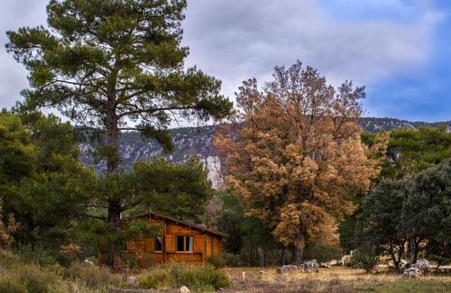 Canamares House | Cabañas Llano de los Conejos