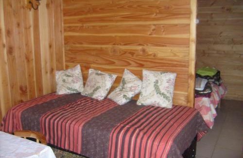 Lican Ray Cabin | Cabañas Los Castaños