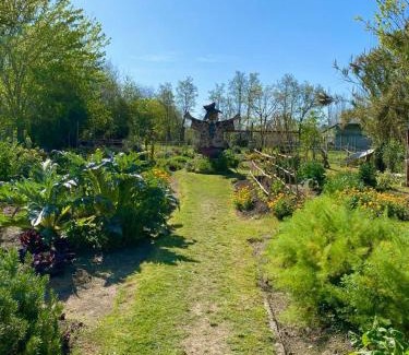 Carlos Keen Apartment | Cabañas Los Girasoles