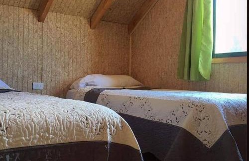 Neltume House | Cabañas Mialma Neltume, Huilo Huilo, Accesibles