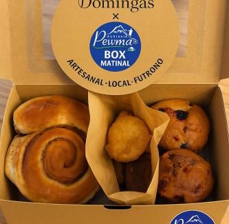 Llifen House | Cabañas Pewma Futrono