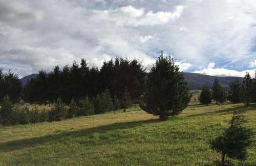 Coyhaique House | Cabañas Posadas De Coyhaique