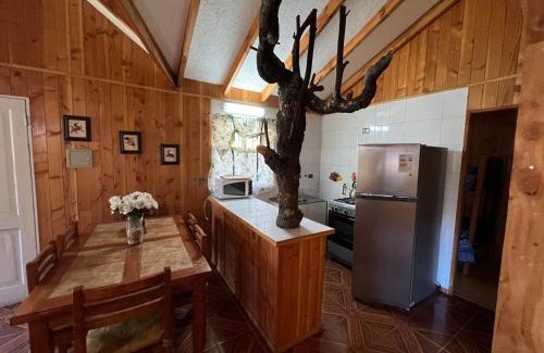 Pucon House | Cabañas Pucon San Sebastian