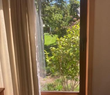 Conaripe House | Cabañas Ruka Rayun con acceso al lago en Coñaripe