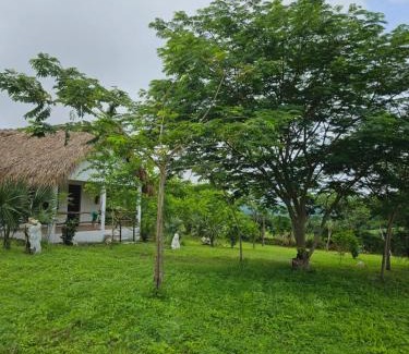 Tanchachin Other | CABAÑAS THAJU