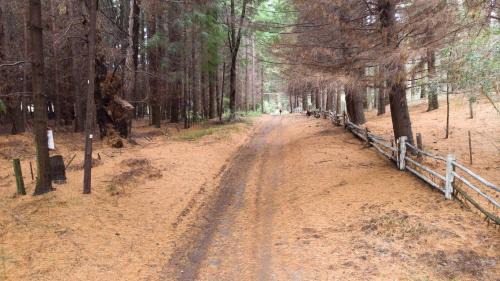San Carlos de Bariloche Cabin | Cabañas Villa Sequoia