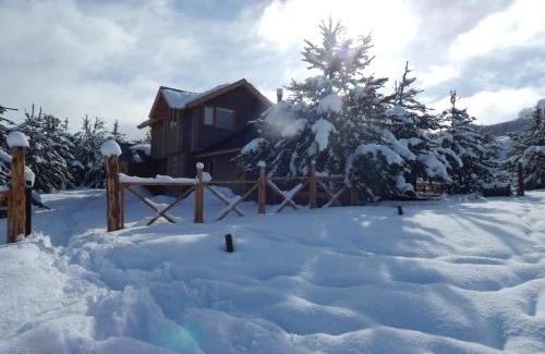 Meliquina Cabin | Cabañas Wenuray