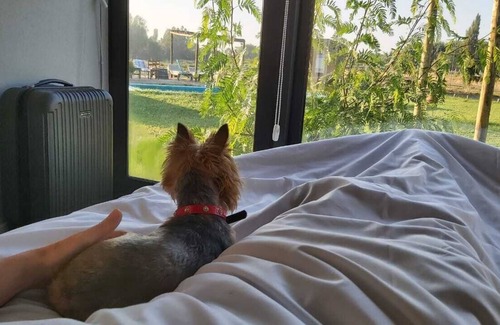 Santa Cruz Hotel | Cabañas y Padel Tiny House