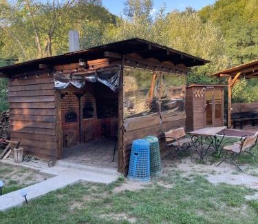 Poieni House | Cabana Amis