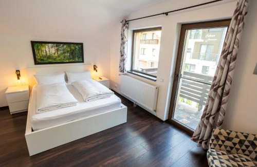 Baia-Sprie Cabin | CABANA BERNER stațiunea Mogoșa