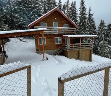 Muntele Baisorii Cabin | Cabana dintre brazi