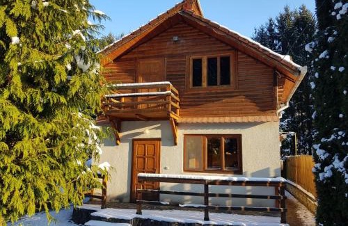 Vetel House | Cabana dintre Brazi